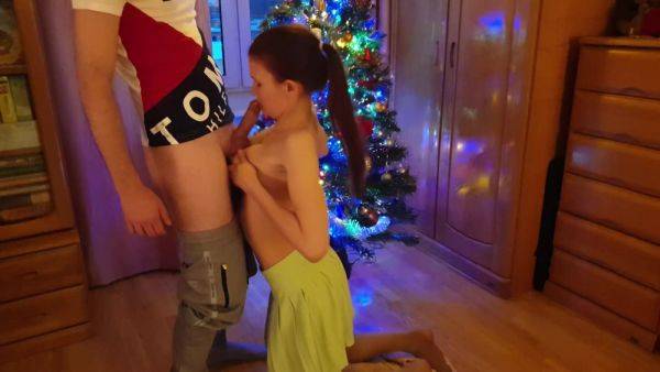 Holiday Blowjob Under The Christmas Tree - hclips.com on nochargetube.com