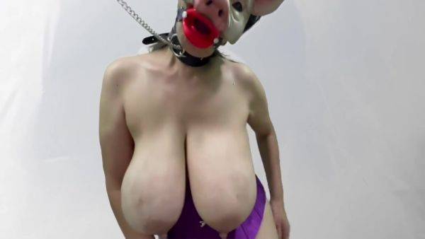 Masked Pig Slut Sucks Dildos And Boob Bouncing - hotmovs.com on nochargetube.com