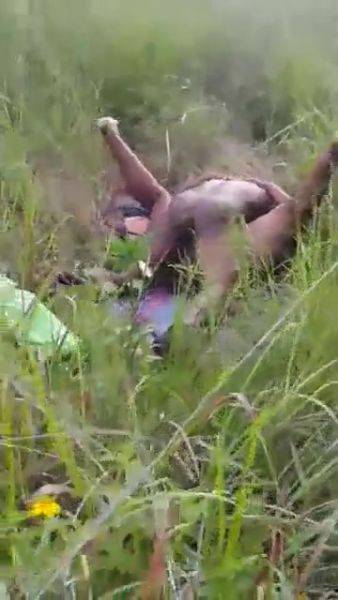 Caught Fucking In The Bush - voyeurhit.com on nochargetube.com