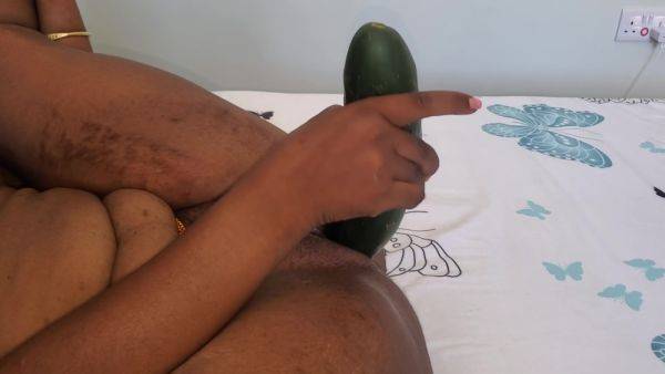 Biggest Cucumber In My Pussy So Amazing When I Cum With Cucumber - hclips.com on nochargetube.com