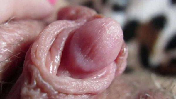 Extreme Close-up of My Gigantic Throbbing Clit - veryfreeporn.com on nochargetube.com